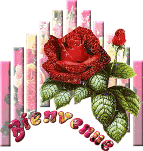 Gif animé bienvenue roses rouges